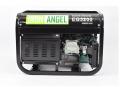  (220 )  Iron Angel EG 3200